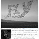 Poster for Katie Fitzgeralds - FLY launch 6-9-15 (2)