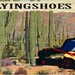 Flyin Shoes Review logo